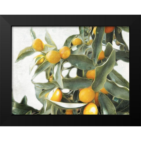 Lemons Black Modern Wood Framed Art Print by Villa, Mlli