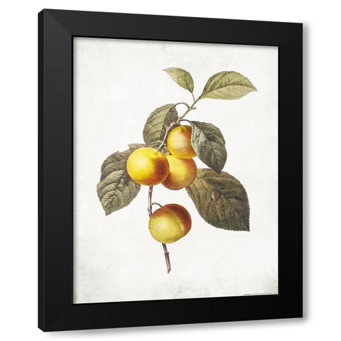 Less Lemons Black Modern Wood Framed Art Print with Double Matting by Villa, Mlli