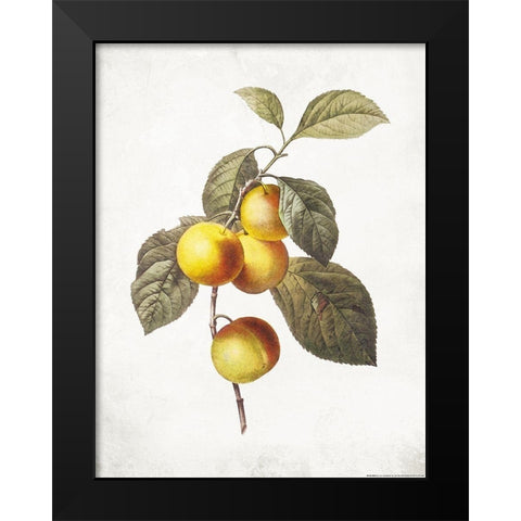 Less Lemons Black Modern Wood Framed Art Print by Villa, Mlli