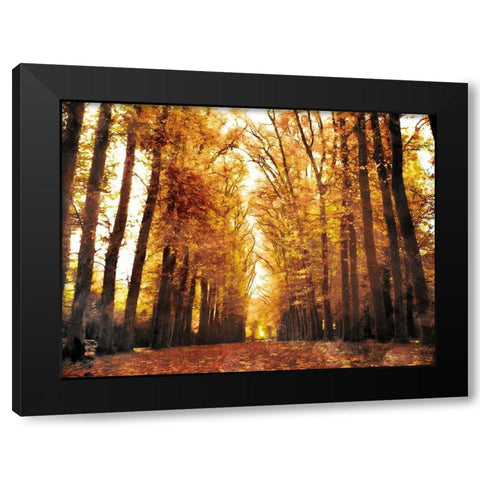 Fallow Your Path Black Modern Wood Framed Art Print with Double Matting by Villa, Mlli