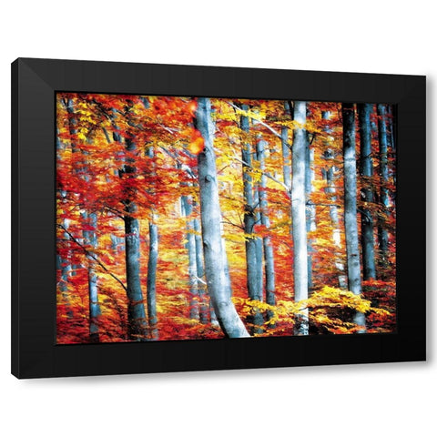 Fall Is Here Black Modern Wood Framed Art Print with Double Matting by Villa, Mlli