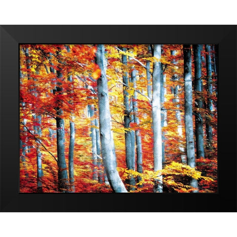 Fall Is Here Black Modern Wood Framed Art Print by Villa, Mlli