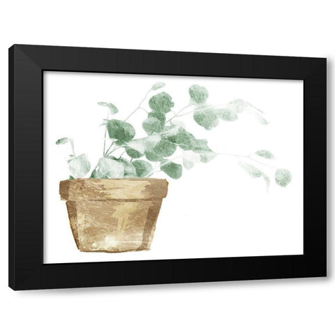 Eucalyptus Planted Black Modern Wood Framed Art Print by Villa, Mlli