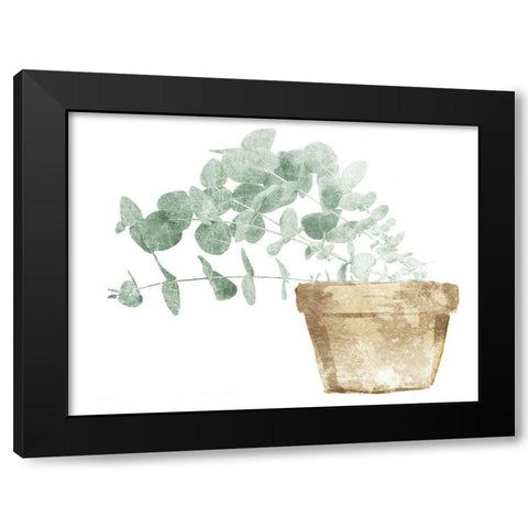 Eucalyptus Planted Mate Black Modern Wood Framed Art Print by Villa, Mlli