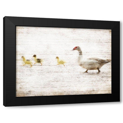 Duck Duck Duck Black Modern Wood Framed Art Print by Villa, Mlli