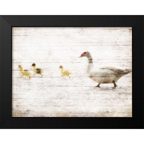 Duck Duck Duck Black Modern Wood Framed Art Print by Villa, Mlli