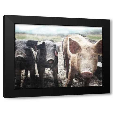 Three Little Pigs Black Modern Wood Framed Art Print by Villa, Mlli