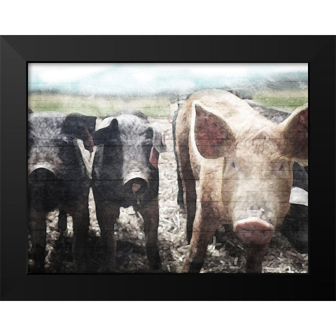 Three Little Pigs Black Modern Wood Framed Art Print by Villa, Mlli