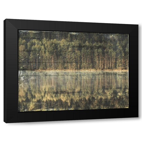 Through The Woods Black Modern Wood Framed Art Print by Villa, Mlli