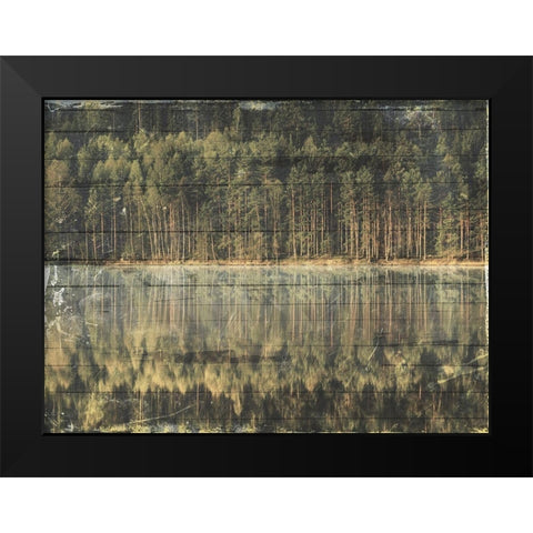 Through The Woods Black Modern Wood Framed Art Print by Villa, Mlli