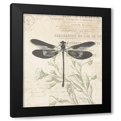Lightened Vintage Insects Black Modern Wood Framed Art Print with Double Matting by Villa, Mlli