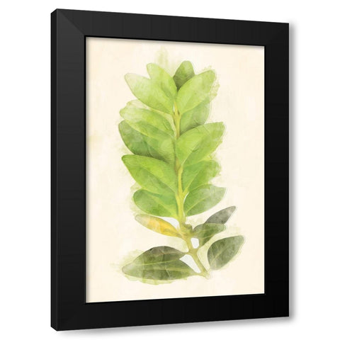 Green Leaves Black Modern Wood Framed Art Print with Double Matting by Villa, Mlli
