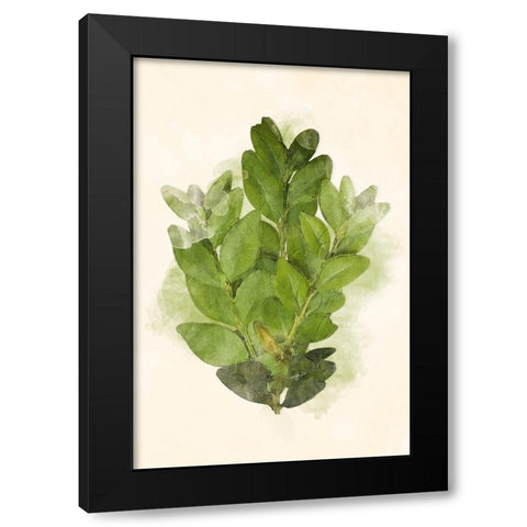 More Green Leaves Mate Black Modern Wood Framed Art Print by Villa, Mlli