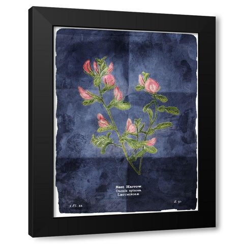Flower Page Blue Black Modern Wood Framed Art Print by Villa, Mlli