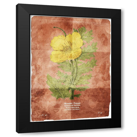 Flower Page Two Brown Black Modern Wood Framed Art Print by Villa, Mlli