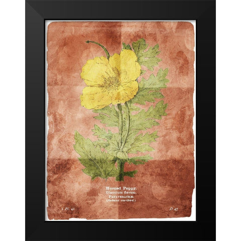 Flower Page Two Brown Black Modern Wood Framed Art Print by Villa, Mlli