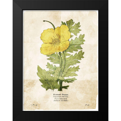 Flower Page Two Black Modern Wood Framed Art Print by Villa, Mlli