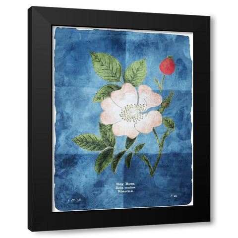 Flower Page Three Blue Black Modern Wood Framed Art Print with Double Matting by Villa, Mlli