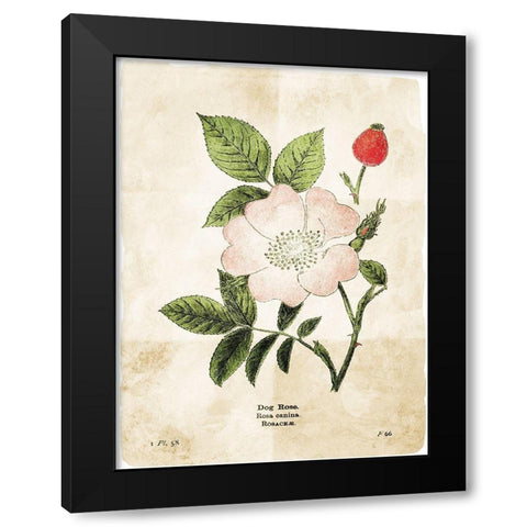 Flower Page Three Black Modern Wood Framed Art Print by Villa, Mlli