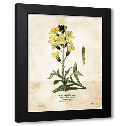 Flower Page Four Black Modern Wood Framed Art Print by Villa, Mlli