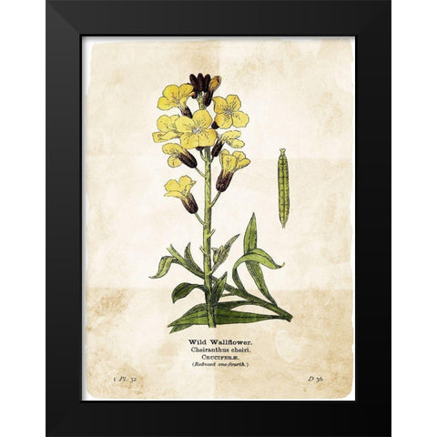 Flower Page Four Black Modern Wood Framed Art Print by Villa, Mlli