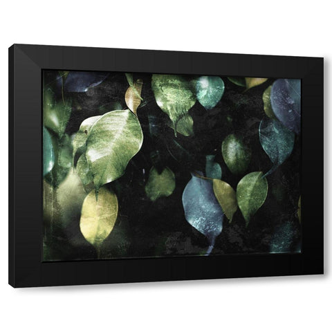 Hanging Leaves Black Modern Wood Framed Art Print with Double Matting by Villa, Mlli
