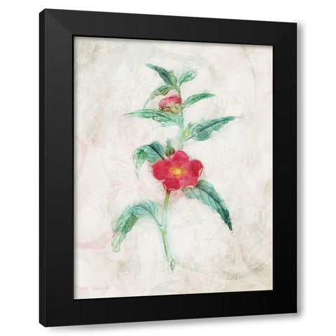 Water Flower Black Modern Wood Framed Art Print with Double Matting by Villa, Mlli