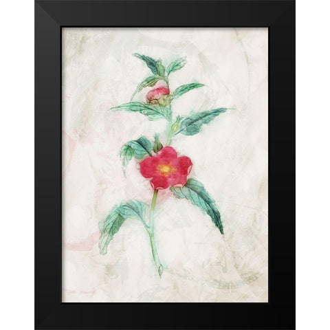 Water Flower Black Modern Wood Framed Art Print by Villa, Mlli