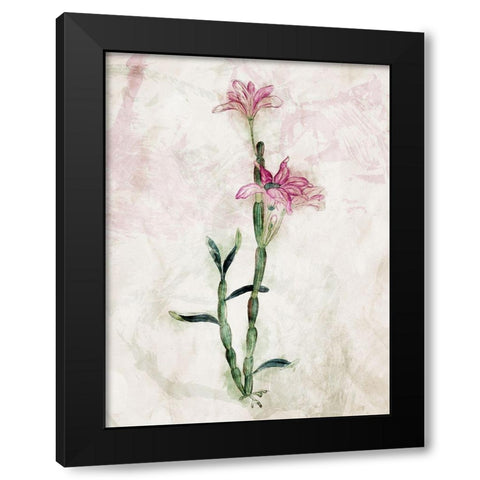 Water Flower Mate Black Modern Wood Framed Art Print with Double Matting by Villa, Mlli
