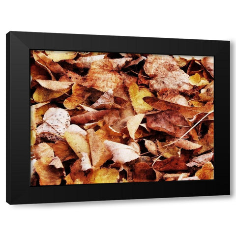 Group Of Leaves Black Modern Wood Framed Art Print with Double Matting by Villa, Mlli