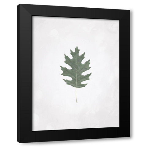Washed Simple Leaf Black Modern Wood Framed Art Print by Villa, Mlli