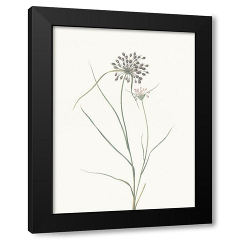 Sprout Black Modern Wood Framed Art Print by Villa, Mlli