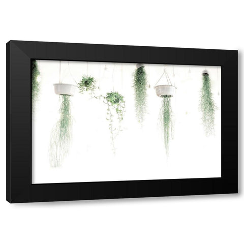 High Plants Black Modern Wood Framed Art Print with Double Matting by Villa, Mlli