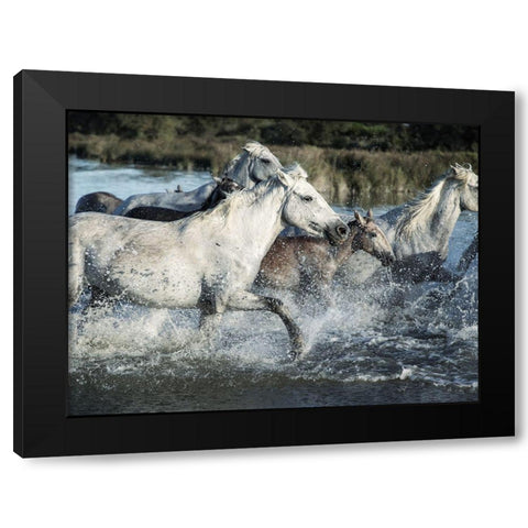 Running Horses Black Modern Wood Framed Art Print with Double Matting by Villa, Milli