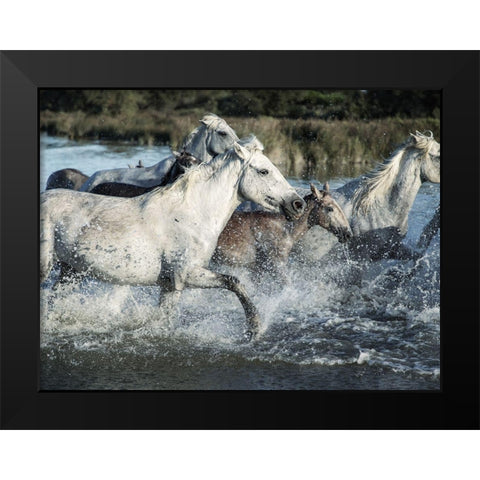Running Horses Black Modern Wood Framed Art Print by Villa, Milli