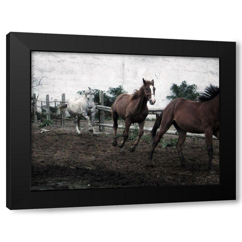 Horses Down The Dirt Road Black Modern Wood Framed Art Print by Villa, Milli