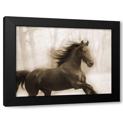 Horse In The Wind Black Modern Wood Framed Art Print with Double Matting by Villa, Milli