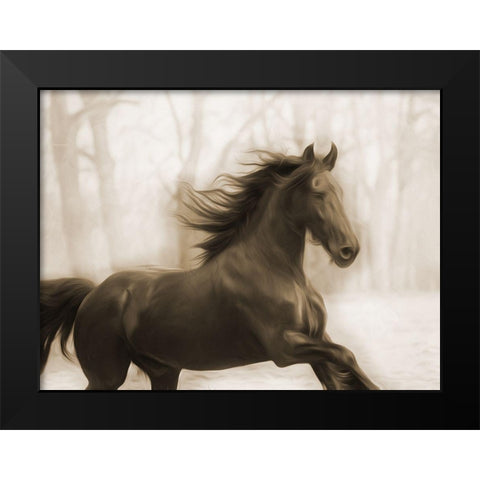 Horse In The Wind Black Modern Wood Framed Art Print by Villa, Milli
