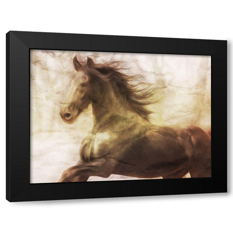 Horse On The Run Black Modern Wood Framed Art Print with Double Matting by Villa, Milli