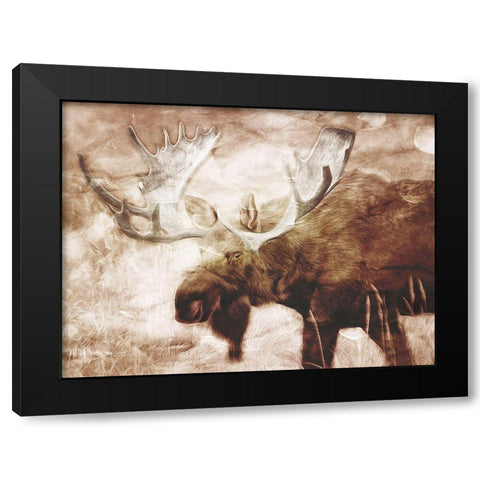 Look At The Moose Black Modern Wood Framed Art Print with Double Matting by Villa, Milli