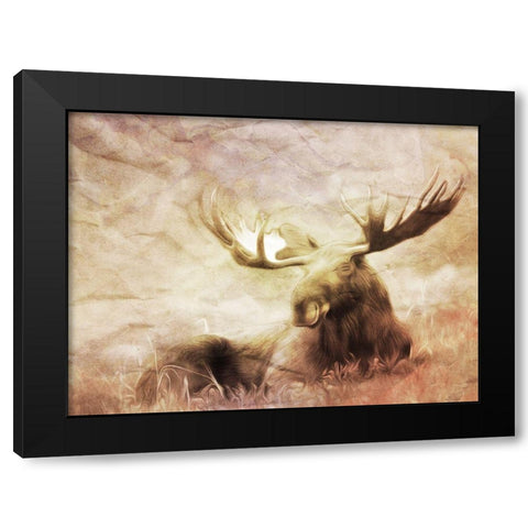 Moose Relaxing Black Modern Wood Framed Art Print by Villa, Milli