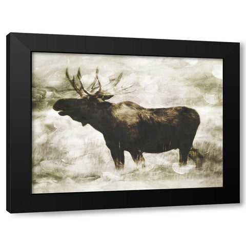Singing Moose Black Modern Wood Framed Art Print with Double Matting by Villa, Milli