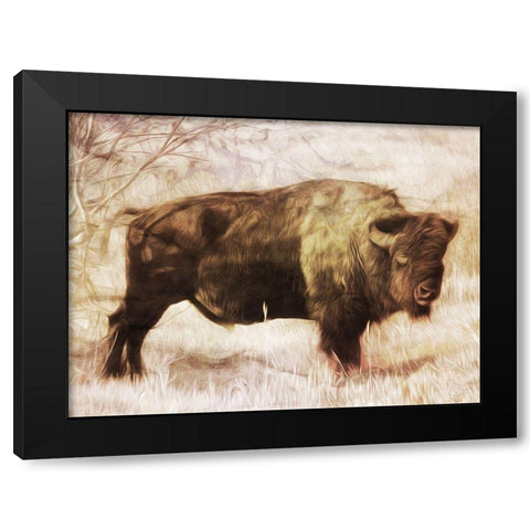Buffalo Stance Black Modern Wood Framed Art Print with Double Matting by Villa, Milli