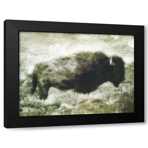 Buffalo Look Black Modern Wood Framed Art Print by Villa, Milli