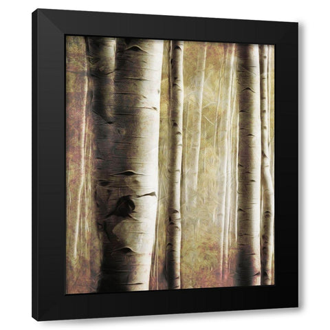 Burnt Birch Family 1 Black Modern Wood Framed Art Print with Double Matting by Villa, Milli
