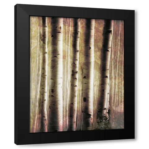 Burnt Birch Family 2 Black Modern Wood Framed Art Print with Double Matting by Villa, Milli