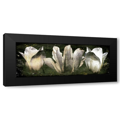 Three Tulips Black Modern Wood Framed Art Print by Villa, Milli
