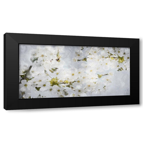 More White Flowers In Grey Black Modern Wood Framed Art Print by Villa, Mlli