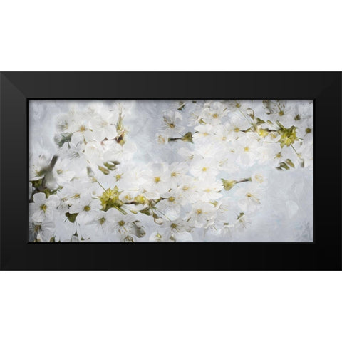 More White Flowers In Grey Black Modern Wood Framed Art Print by Villa, Mlli