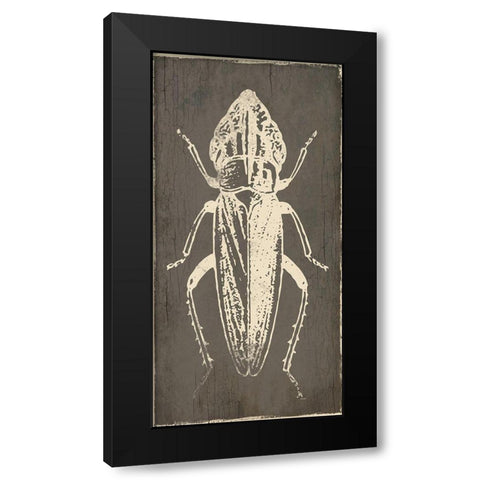 Bug Life Three Black Modern Wood Framed Art Print with Double Matting by Villa, Mlli